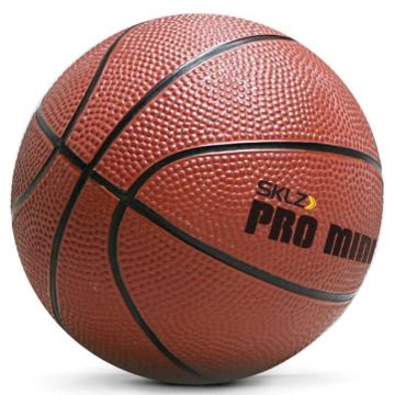 SKLZ Pro Mini Hoop XL Basket Potası NSK000008