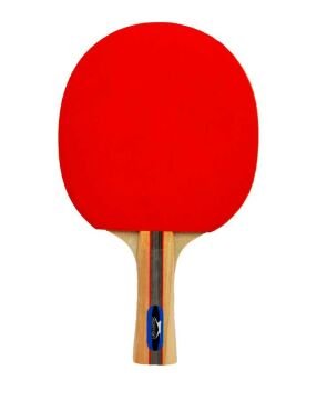 Slazenger Champion ITTF Onaylı Masa Tenisi Raketi