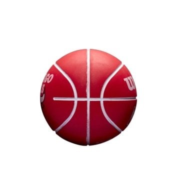 Wilson NBA Dribbler Mini Basketbol Topu WTB1100PDQCHI