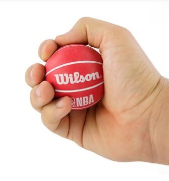 Wilson NBA Version Mini Basketbol Topu WTB1100PDQNBA